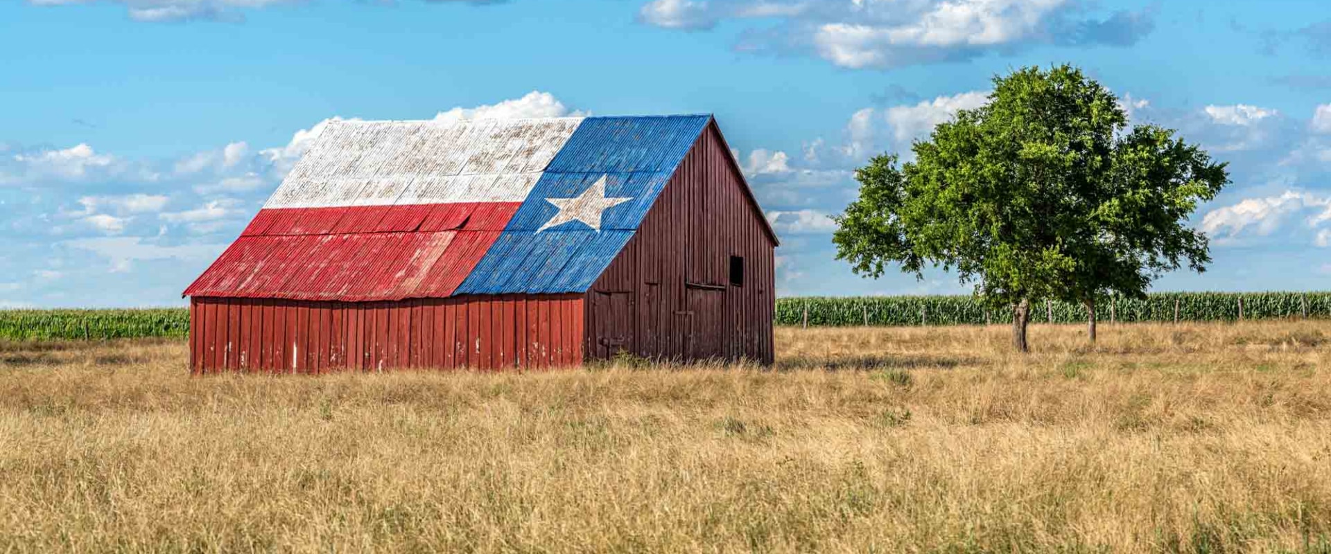 5 Weird and Fascinating Facts About Texas